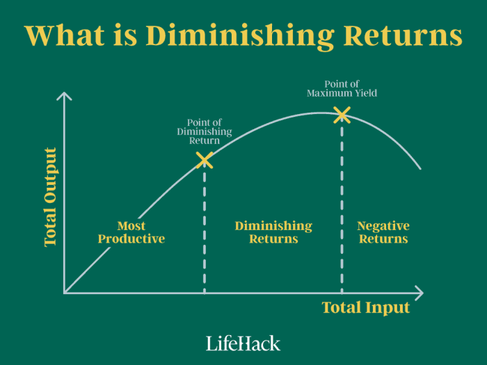 What is the law of diminishing returns