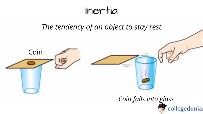 What are newton's 3 laws of motion