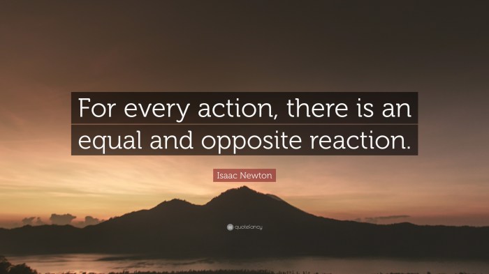 Equal action every there opposite reaction life newton quote mahatma gandhi isaac increasing simply than quotefancy speed its physics people