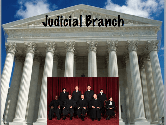 Which branch interprets laws