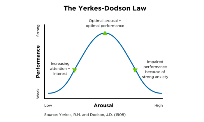 Which of the following describes the yerkes dodson law