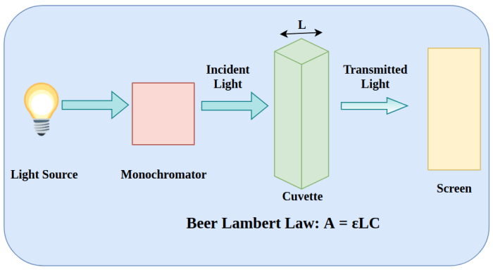 What is beers law