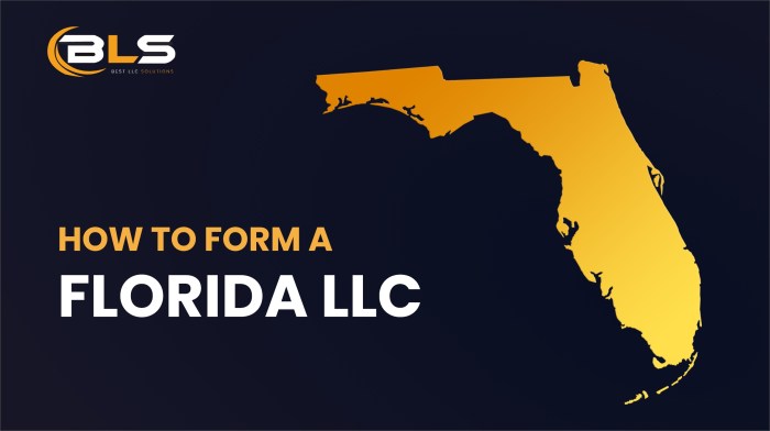 Can a law firm be an llc in florioda