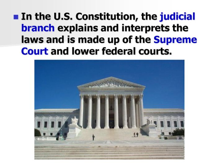 Which branch interprets laws