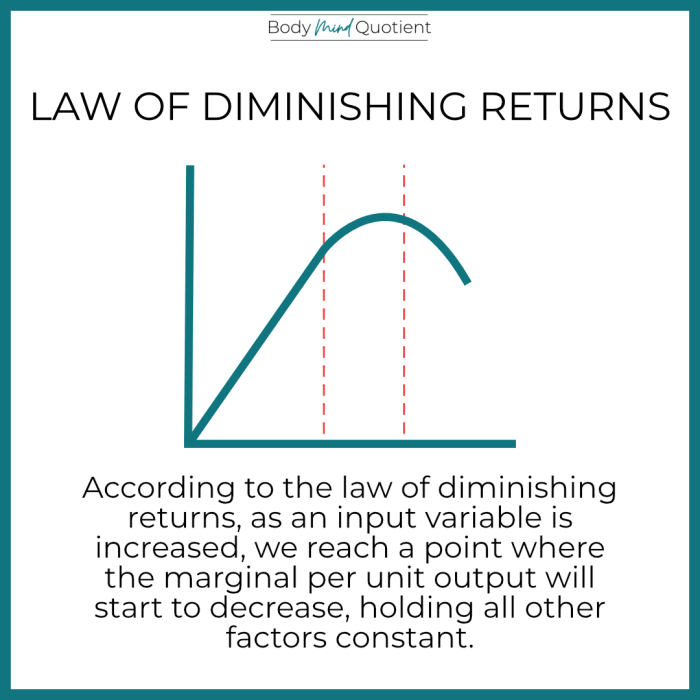 Diminishing returns law examples states increase business other businesszeal output due production has