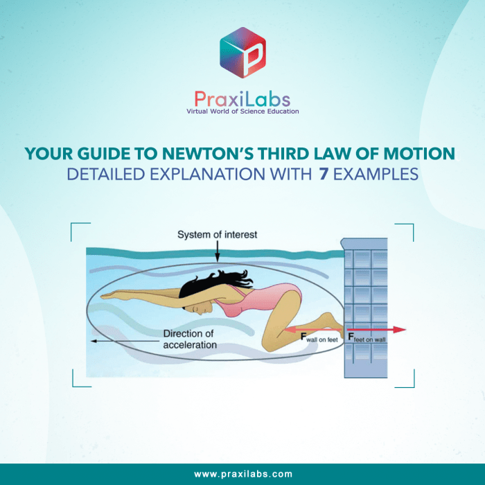 Law newton third motion 3rd skateboard momentum reaction action newtons picture force pushing examples laws activities interaction skateboarding lemus kaitlin