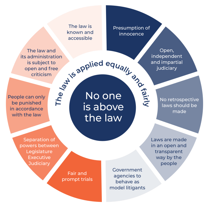 Government infographics laws studies obey principle magna carta ruleoflaw explainer