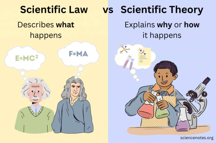 Law theory scientific example picture vs hypothesis steppin adam students family shows