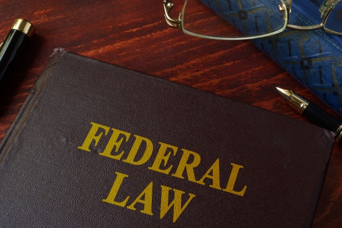 What is federal law