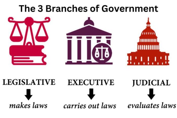 Which branch can declare laws unconstitutional