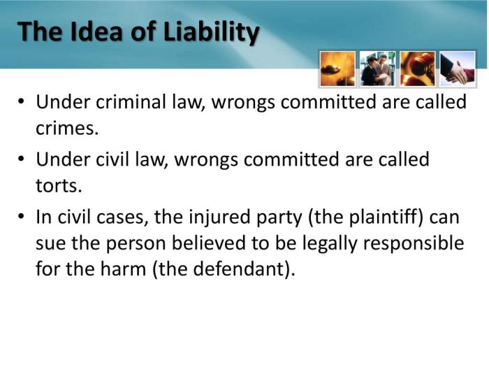 What are torts in law