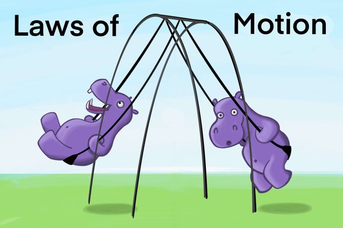 What is newton's first law of motion