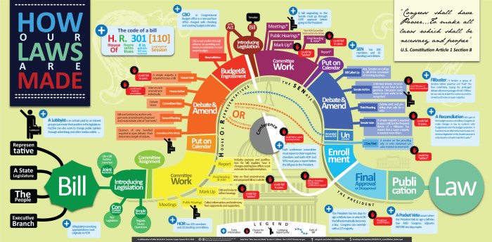 What branch of our government makes the laws