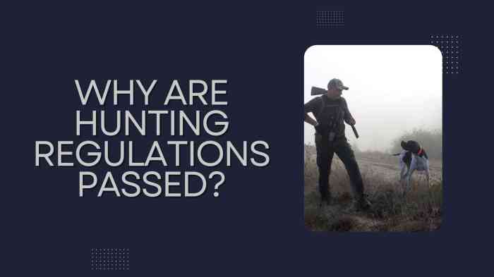 Why were hunting laws passed