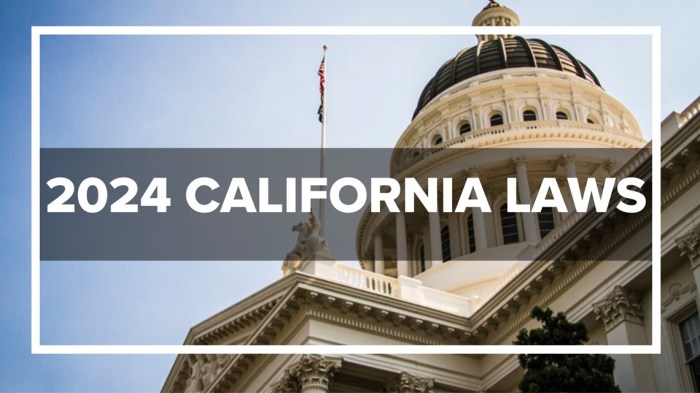 What are the new laws for 2024 in california