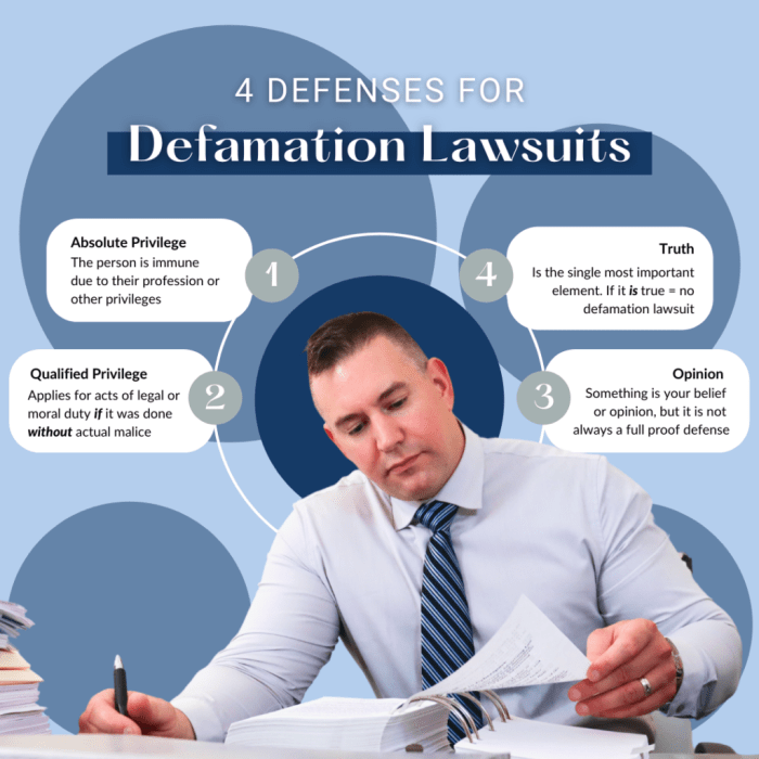 Which law illegilizes defamation