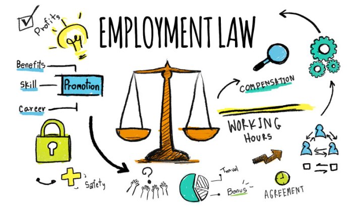 What is labor law