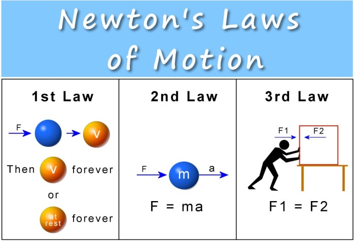 What law is known for the law of action