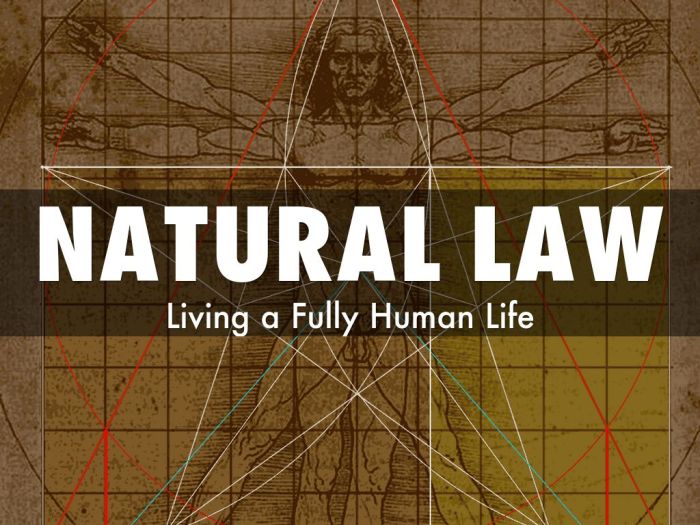 What is natural law