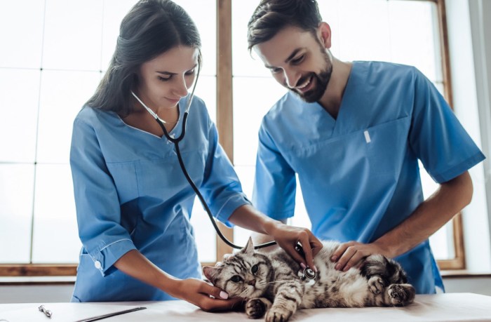 When to except inspections process by board veterinary california law