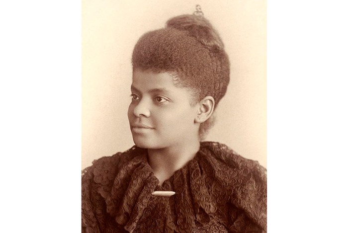 When was ida b wells law suit overturned