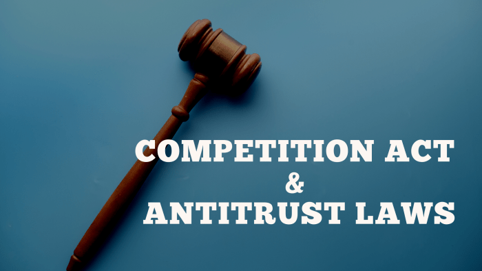 Antitrust competition monopolio legge monopoly hammer competitiveness lawsuit causa concorrenza mercato monetario martello fidano proces incorporate