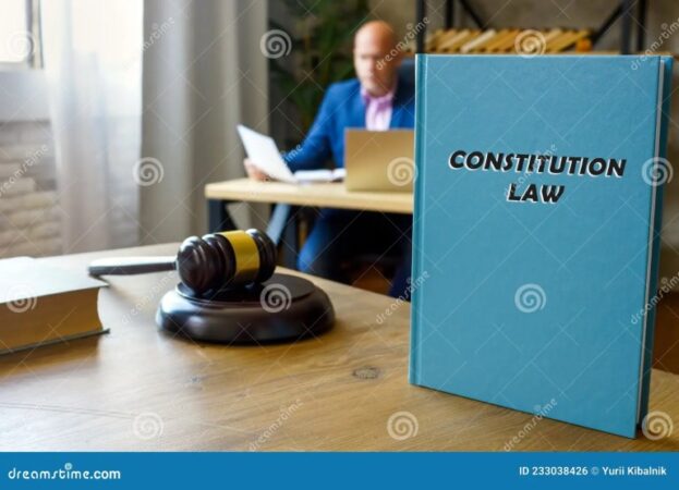 What is constitutional law