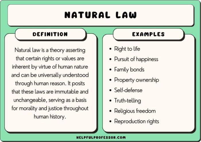 What are natural laws