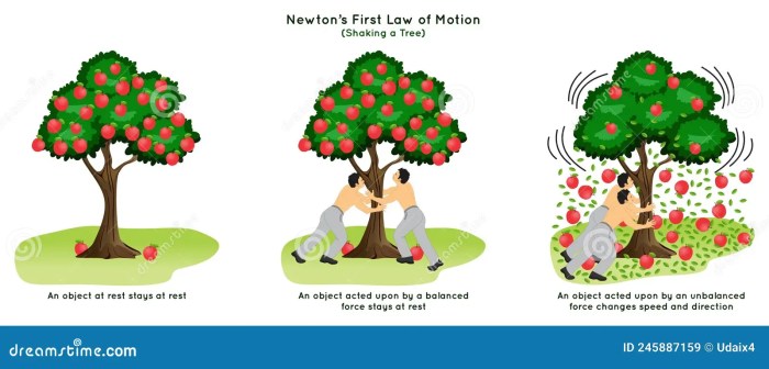 What is newtons first law of motion