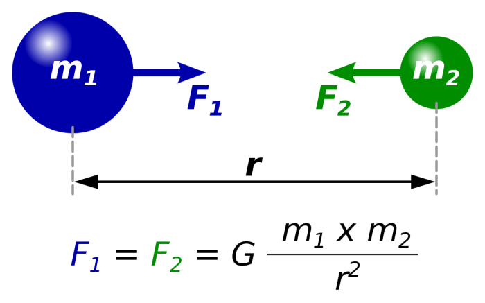 What is the law of gravitation