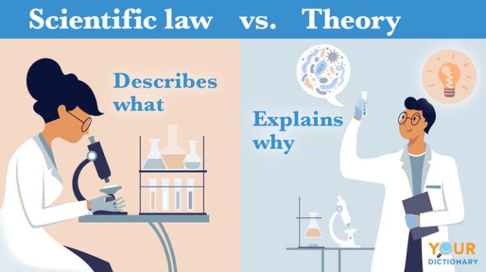 What is the difference between scientific theory and scientific law