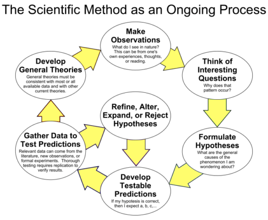 What is the difference between scientific theory and scientific law