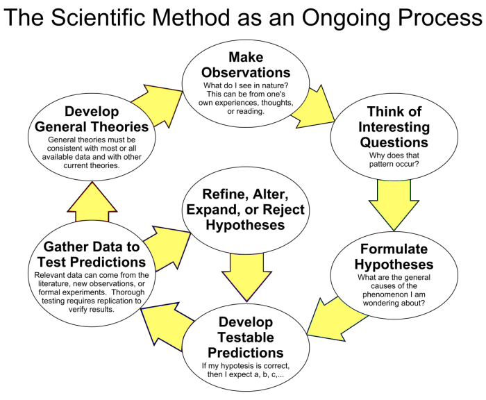 What is the difference between scientific theory and scientific law