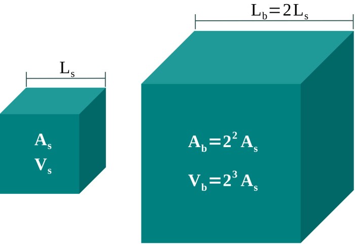 Are cube law and murray's law the same