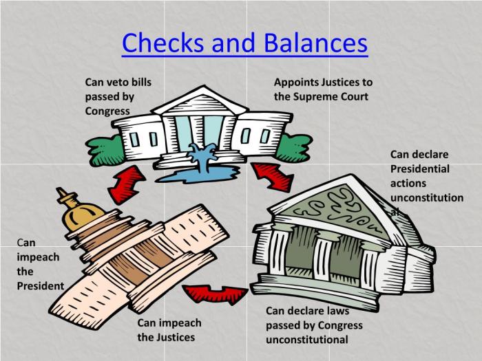 Which branch can declare laws unconstitutional