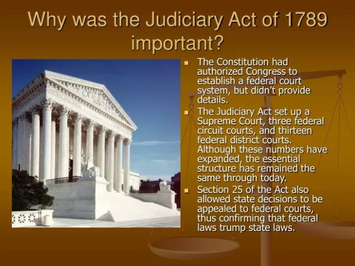 What was the first law to be declared unconstitutional