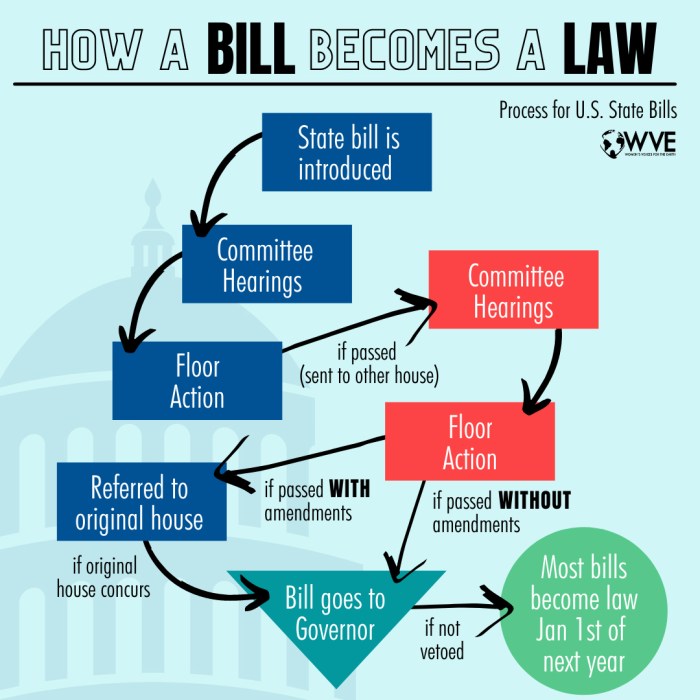 Bill law becomes process become chart order government through brief description american goes picture