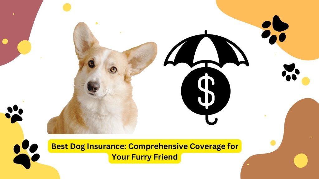 Best dog insurance in australia