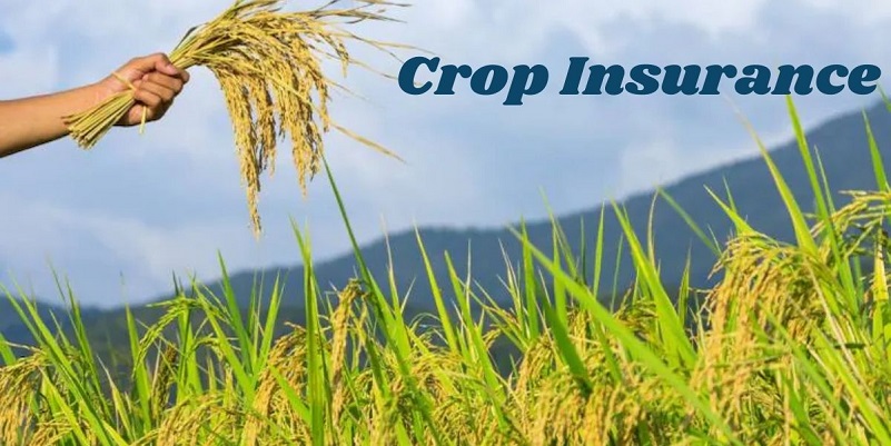 Crop insurance in australia