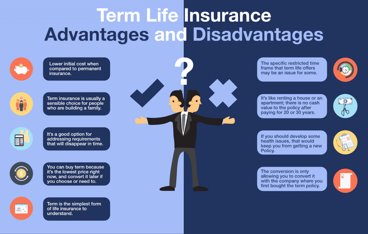 Term life insurance in australia