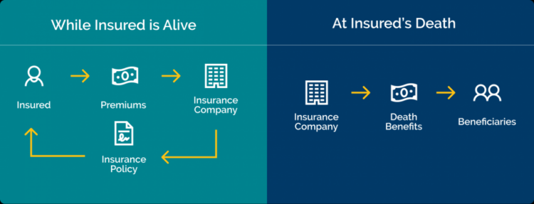 Insurance industry life crossroads australian australia sydney district central business