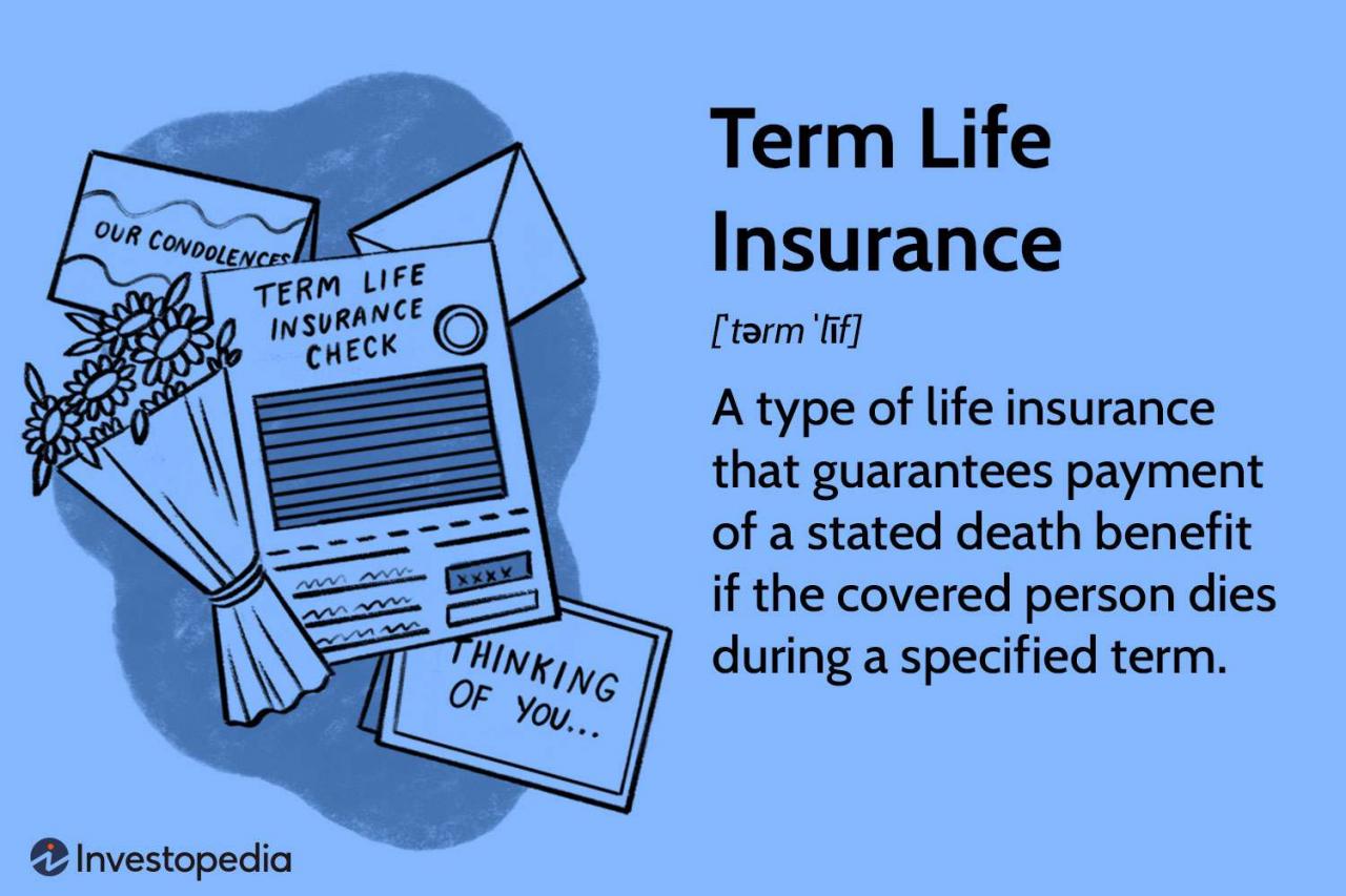 Term life insurance in australia