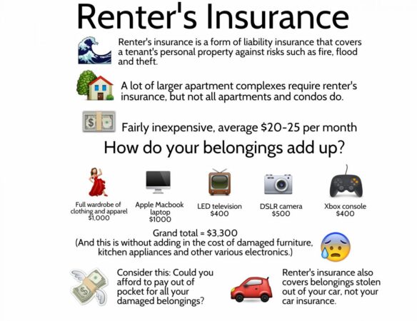 Australian rental insurance in hawaii