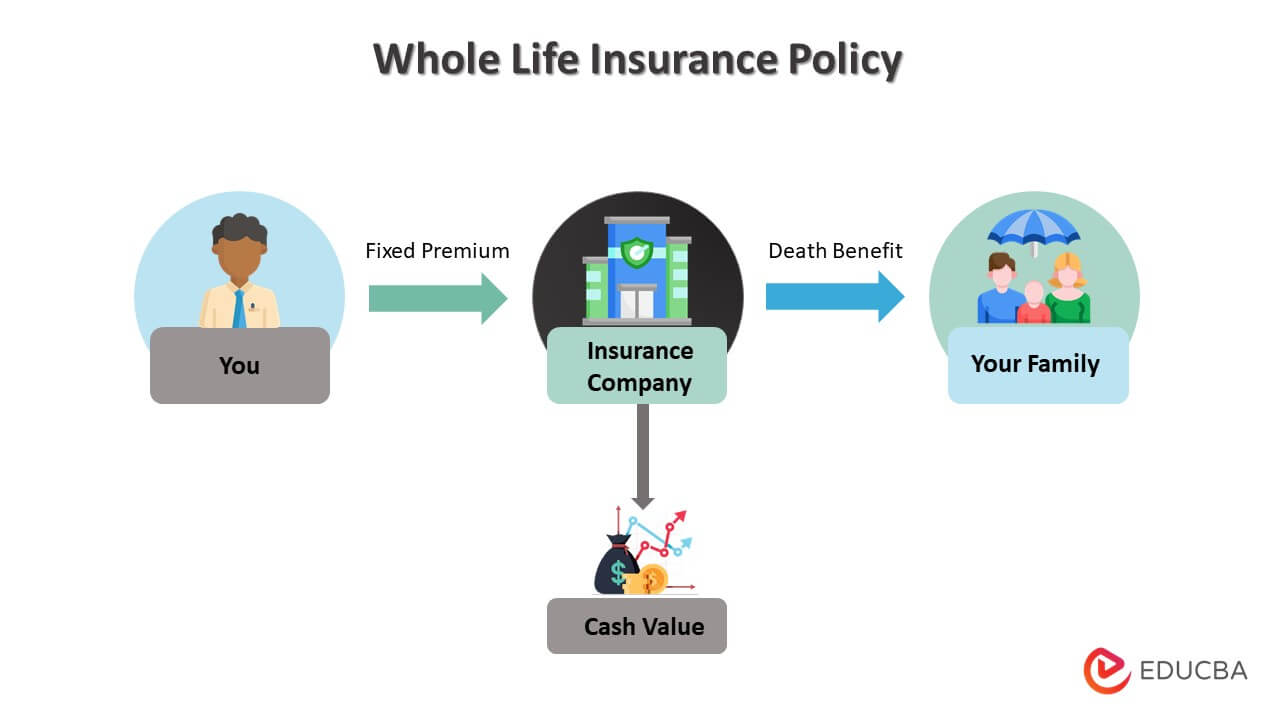 How life insurance works in australia