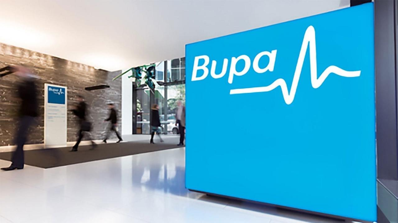 Bupa insurance health