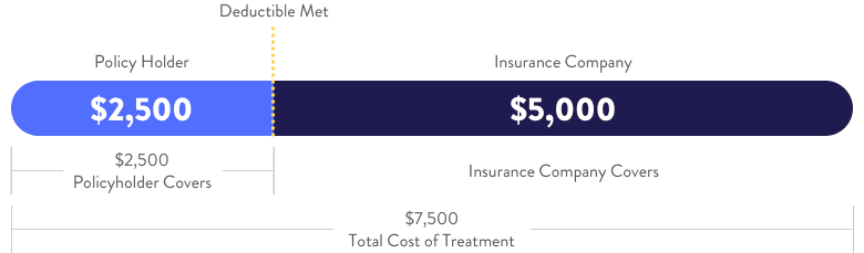 Health care oop pocket maximum insurance cdphp maximums formulary decoded different